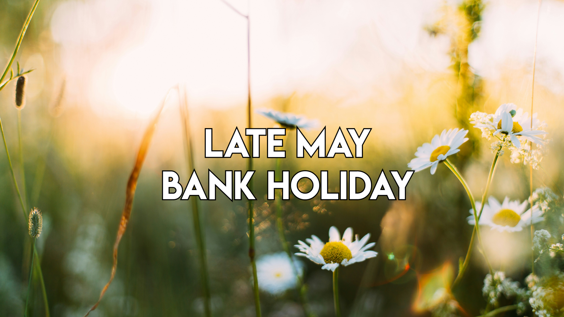 Late May Bank Holiday: We will be closed on Monday, 27th May.